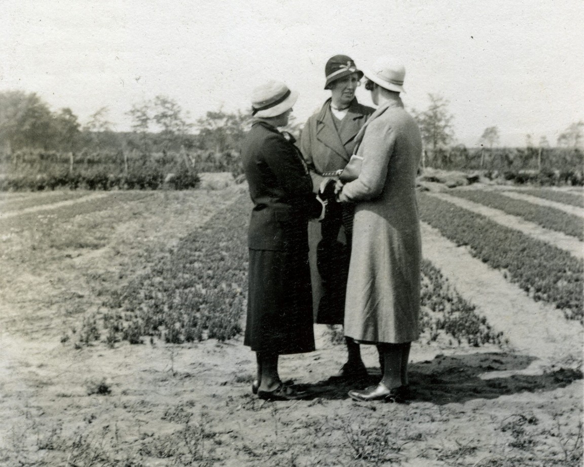 Excursion to Tentsmuir Forest &mdash; 1934