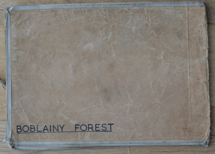 Boblainy Forest map and R1s