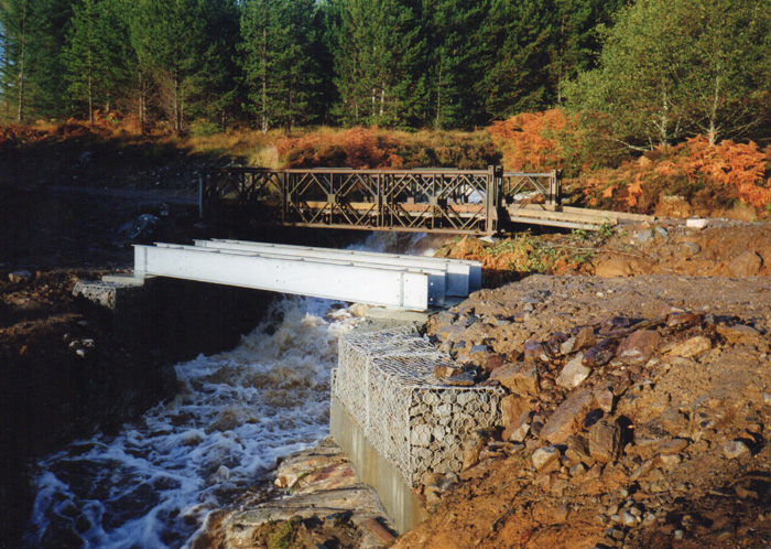 Torrachility 1995