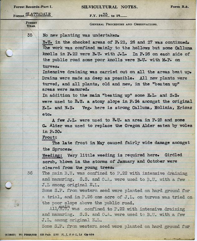 Slattadale Forest Planting Record Notes