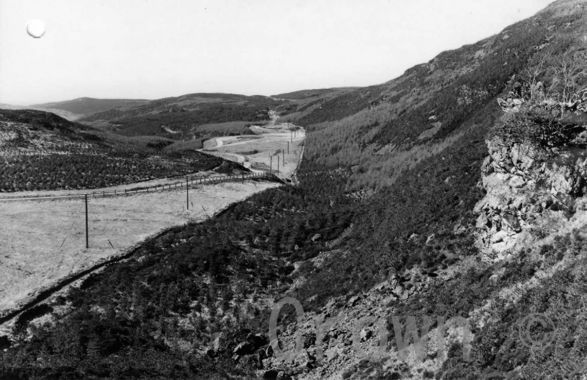 Kirroughtree Forest 