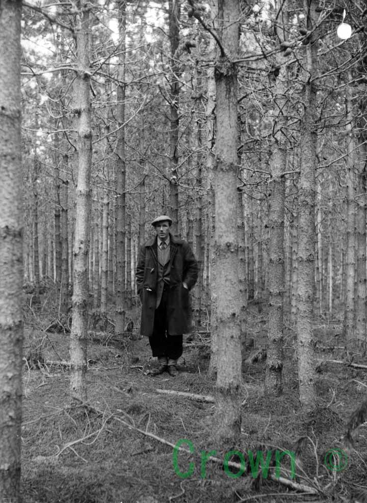 Teindland Forest &mdash; Experiment area