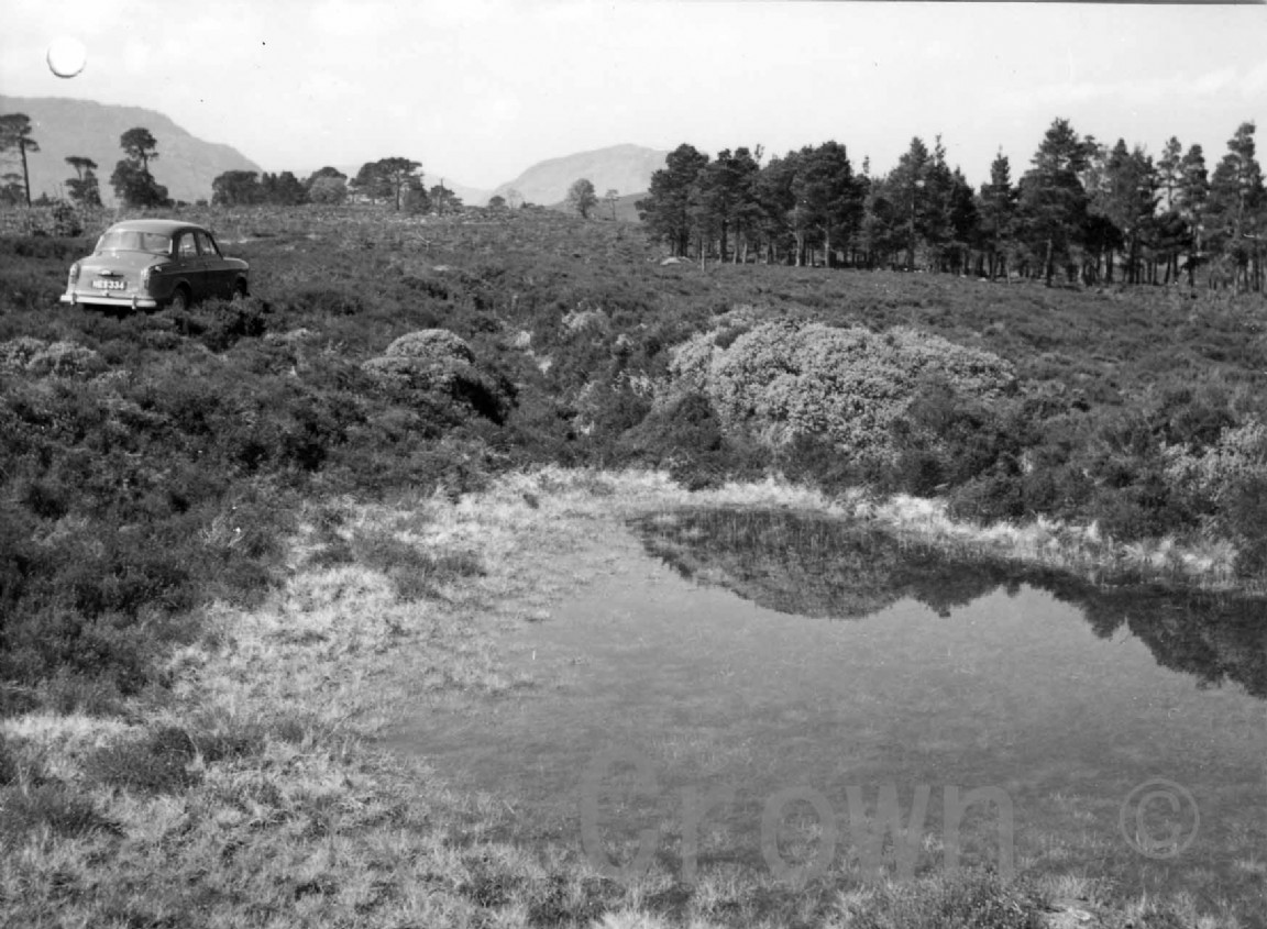 Rannoch Forest &mdash; Comp 8 - Logging Canals