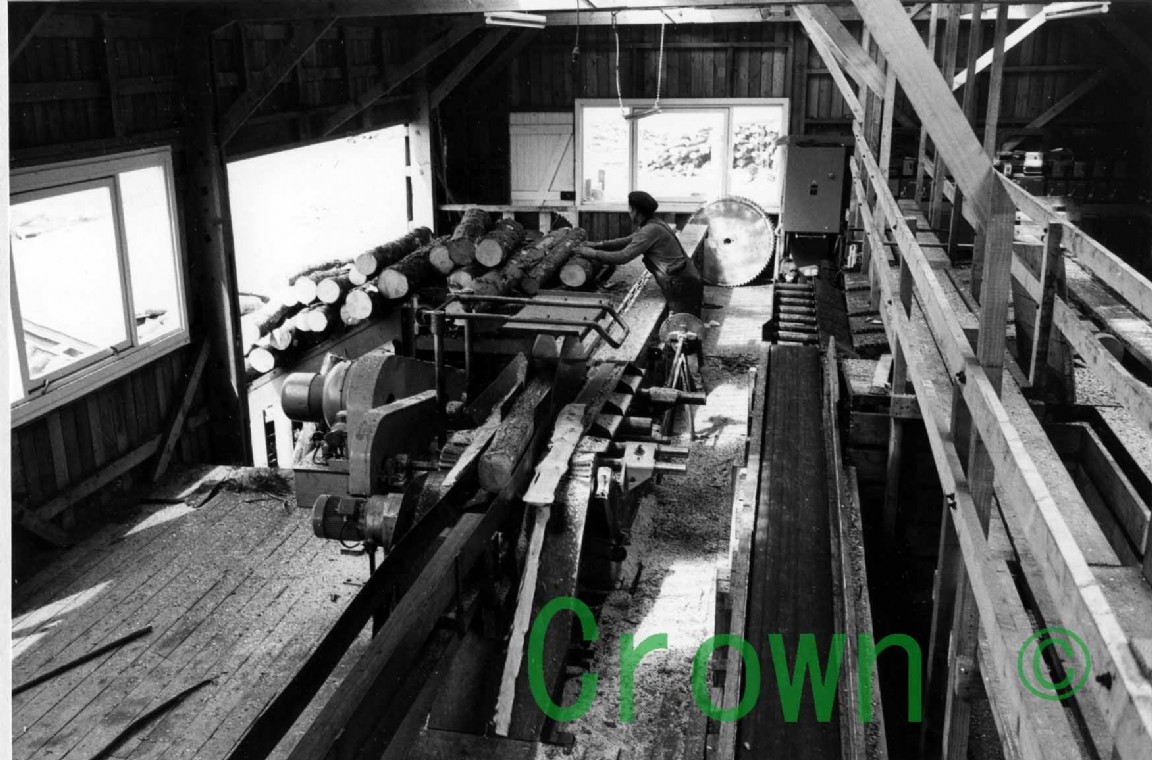 Riddoch&rsquo;s Sawmill Mostodloch?