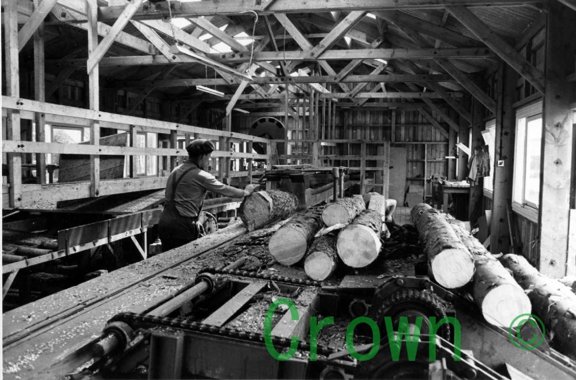 Riddoch&rsquo;s Sawmill Mosstodloch?