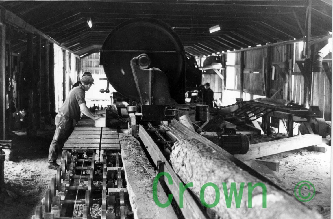 Riddoch&rsquo;s Sawmill Mosstodloch?