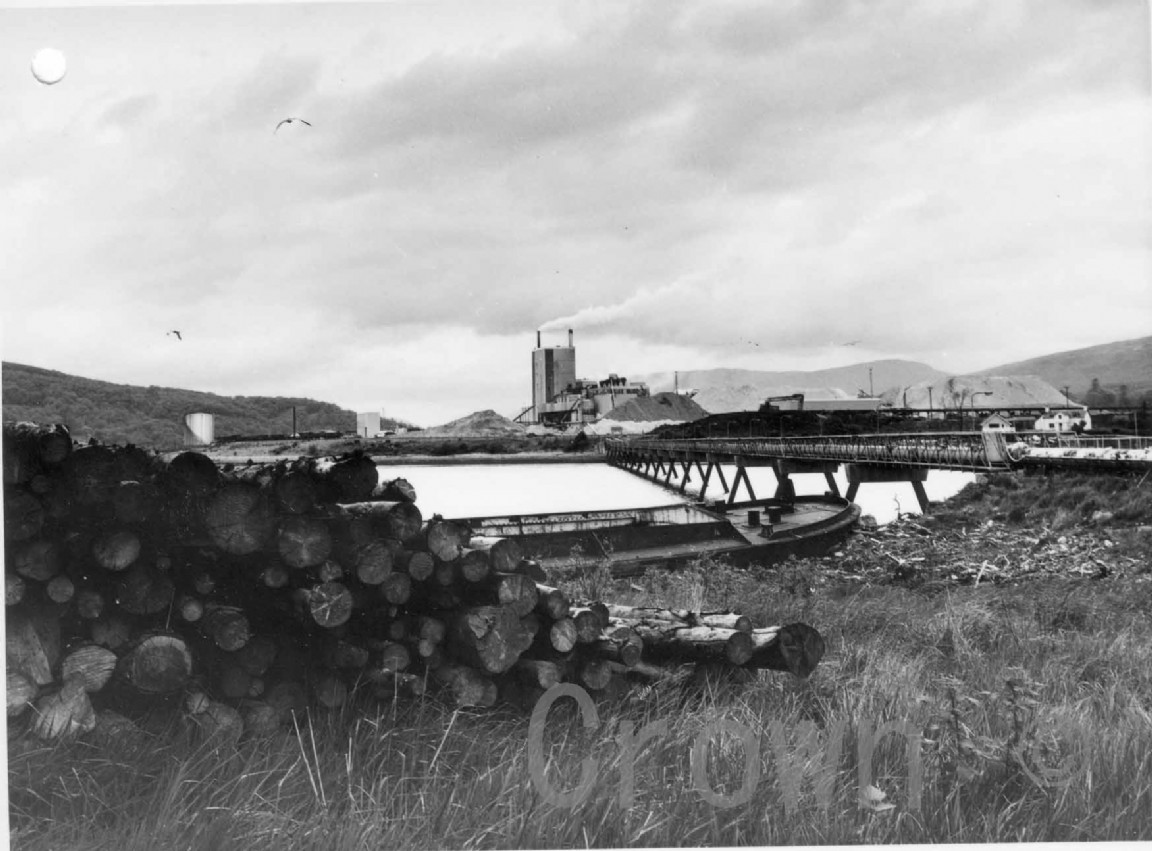 Fort William Pulp Mill, jetty and Mill buildings
