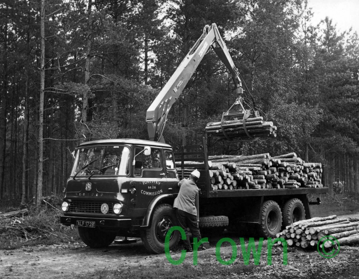 Loading timber at Blackbushe, Edinburgh - may be Hampshire not Edinburgh