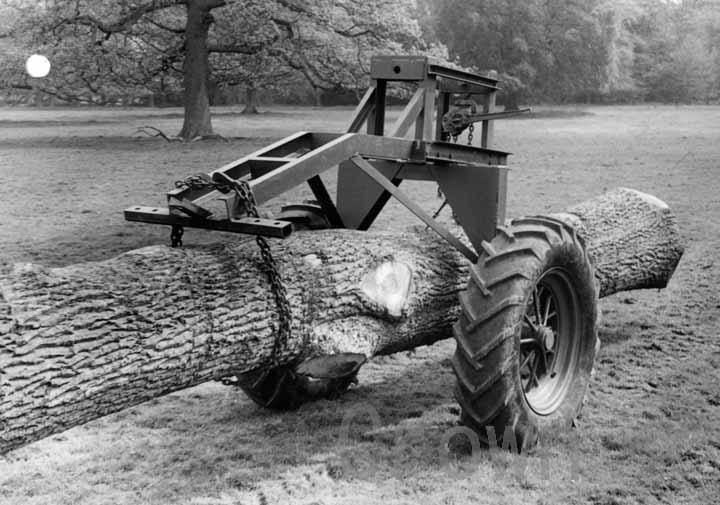 Alice Holt Logger