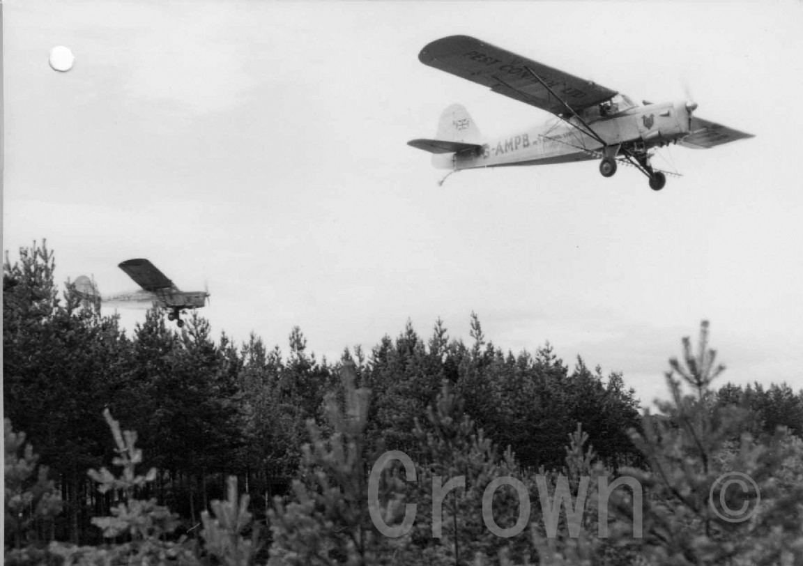 Spraying insecticide on Culbin Forest