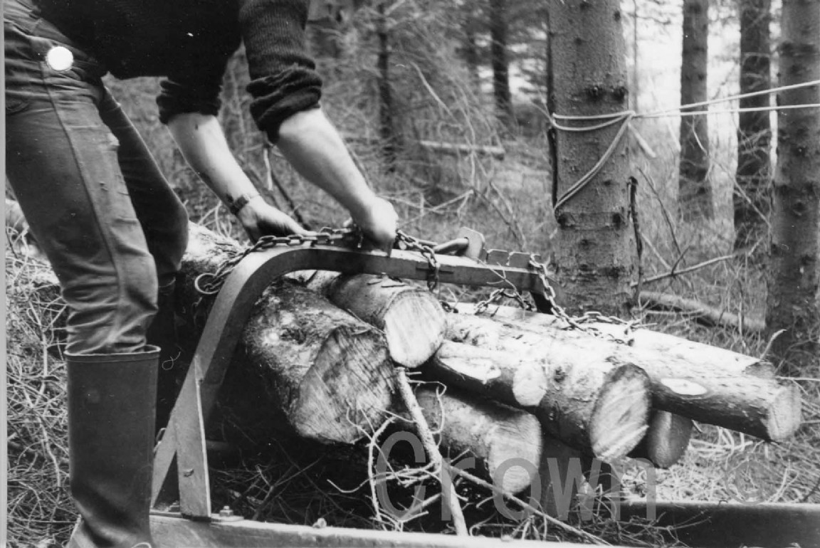 South Strome Forest-horse extraction