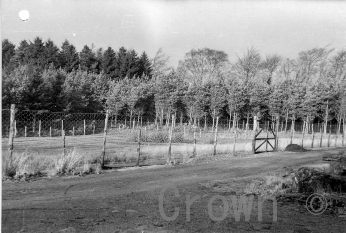Devilla Nursery &mdash; heathland extension