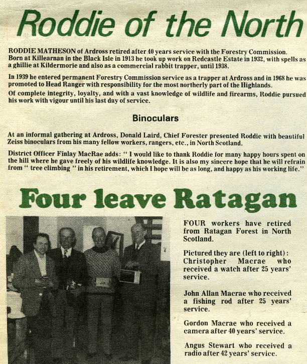 FC Diamond Jubilee - Staff Newspaper Slasher Item