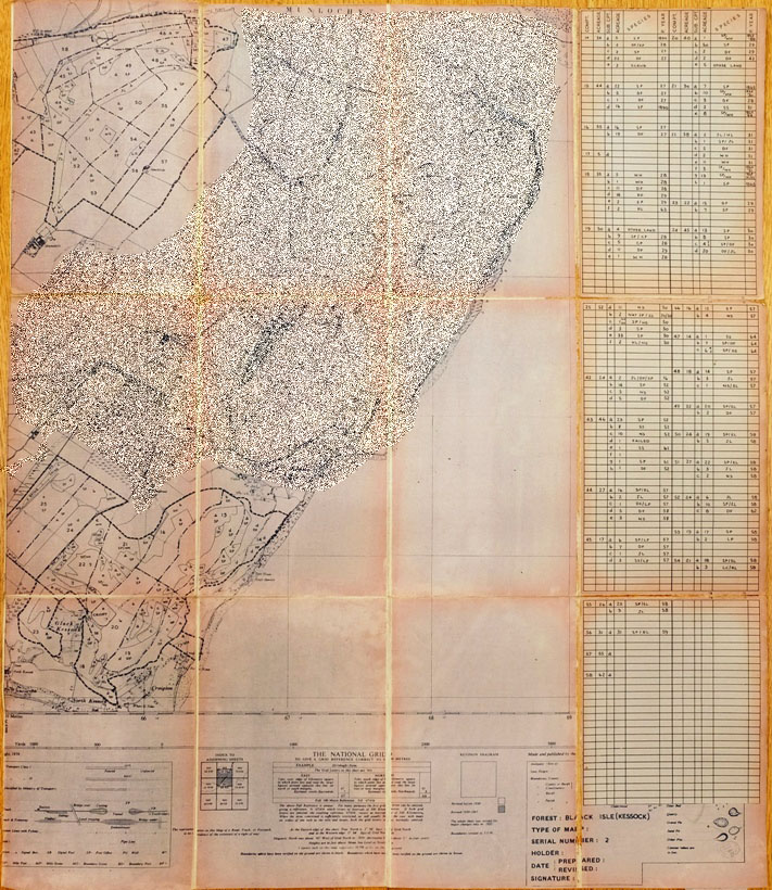 Kessock Forest resurvey map 2