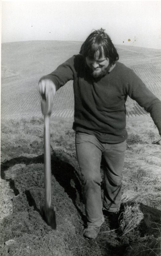 New Planting at Cloich Forest