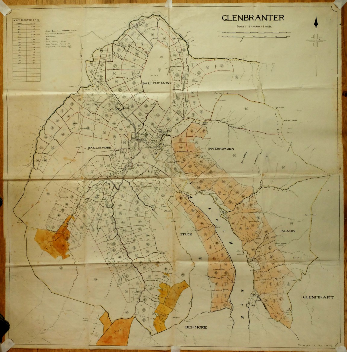 Glenbranter Forest Map 1937