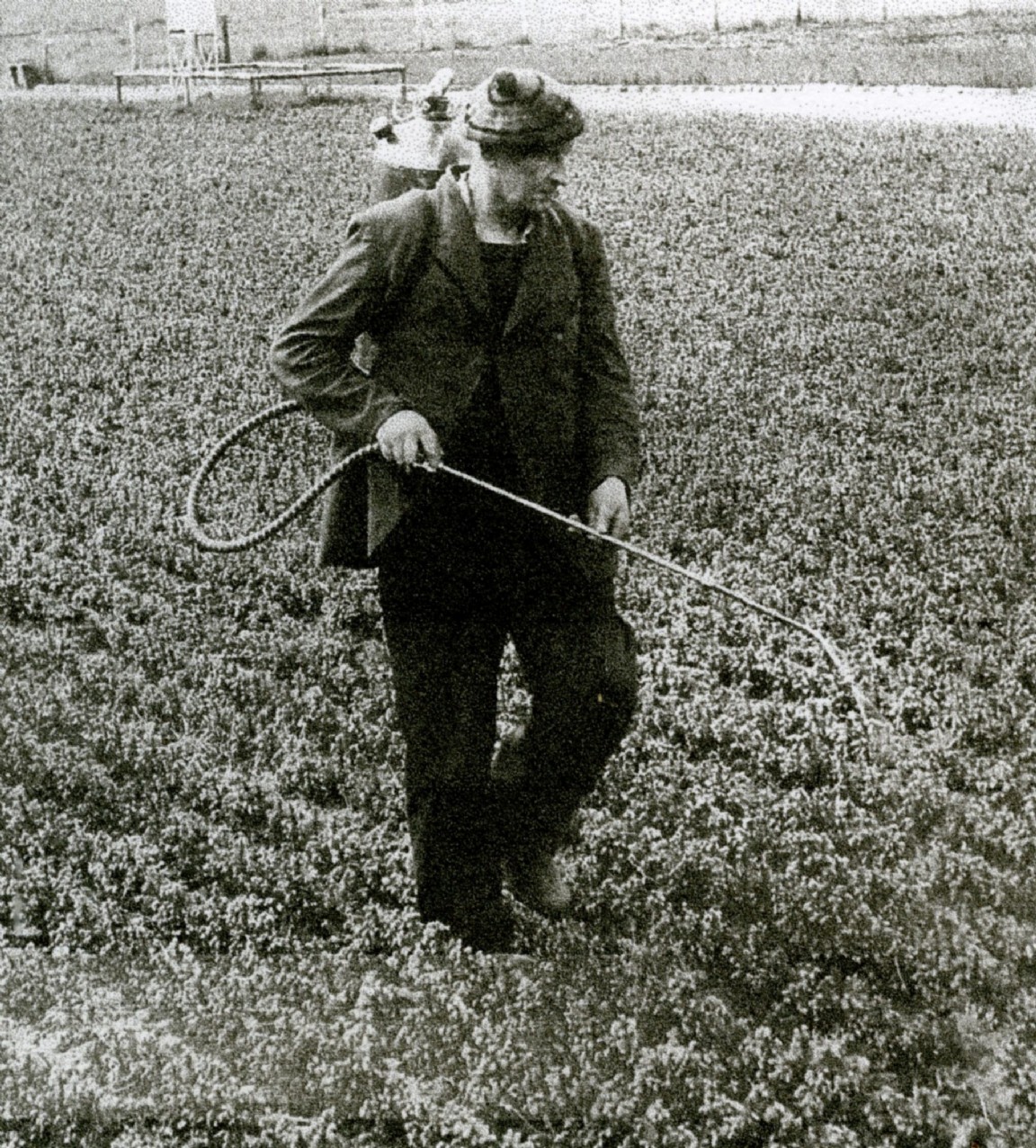 Donald Kennedy in Strathyre Forest Nursery