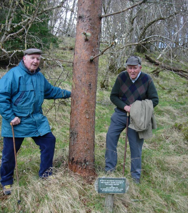 One Million acres of trees planted in Scotland