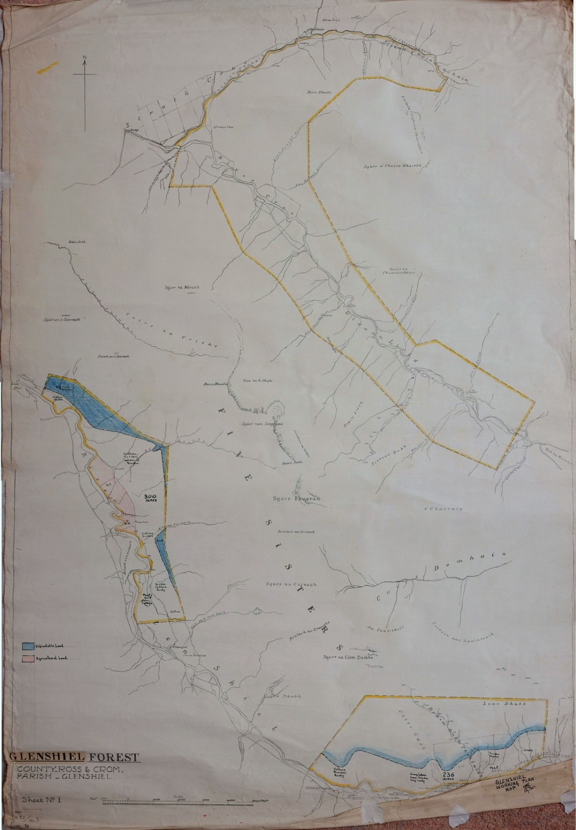 Glenshiel Forest pre - acquisition survey map No 1