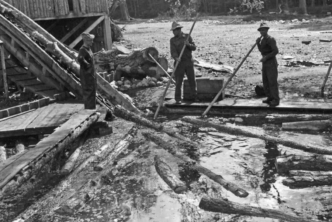 Working in the logging pond Mar lodge