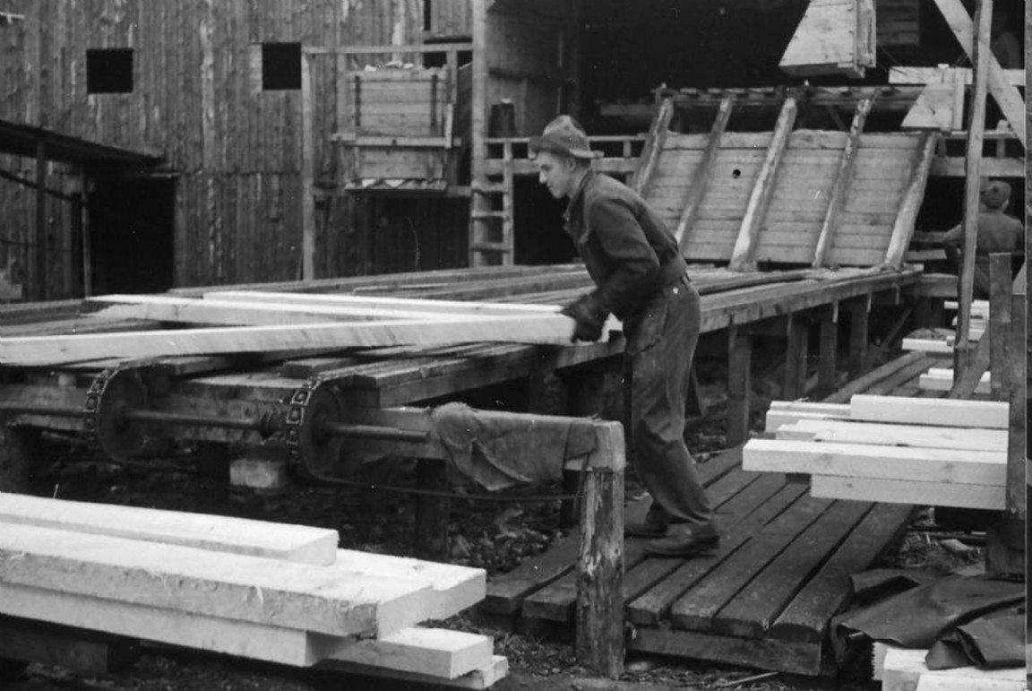 Canadian Forestry Corps District No 2 � Timber out puts