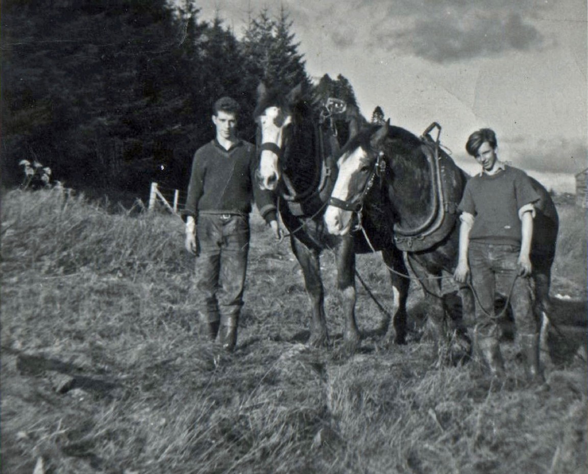 Buddy Gilles and Billy Green with horses