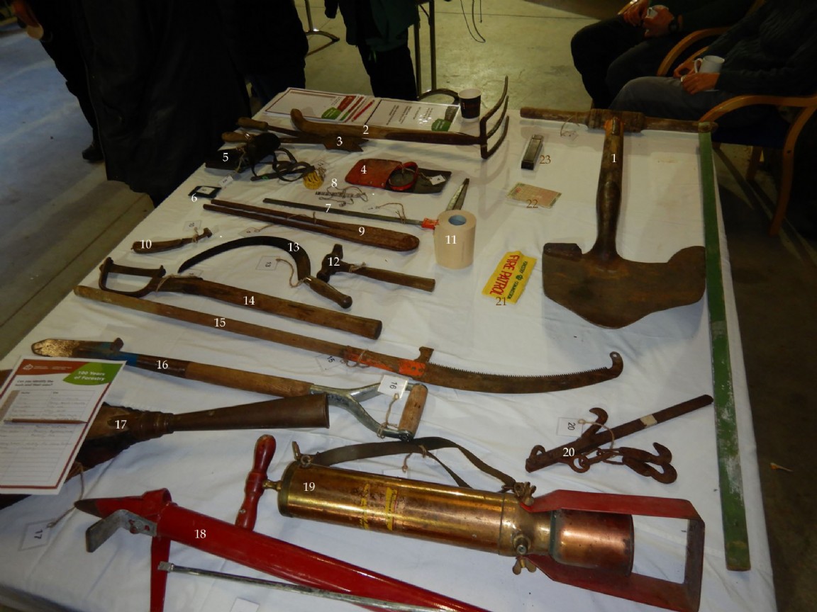 100 years of Scottish Forestry Event at Contin � Tool identification