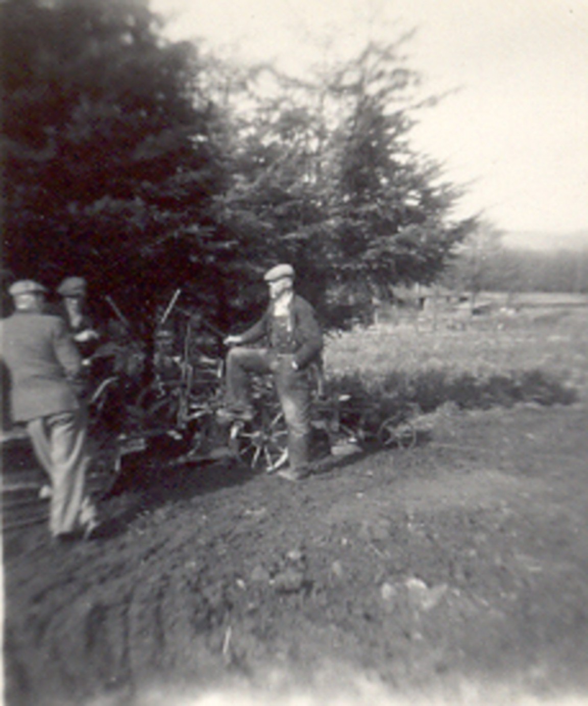 In East Woodlands Nursery � Kirkhill Forest