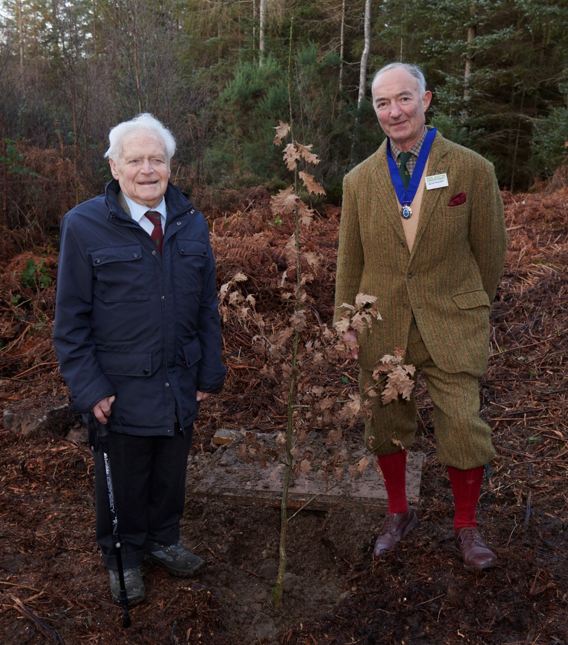 Centenary of the Forestry Commission � Tree planting