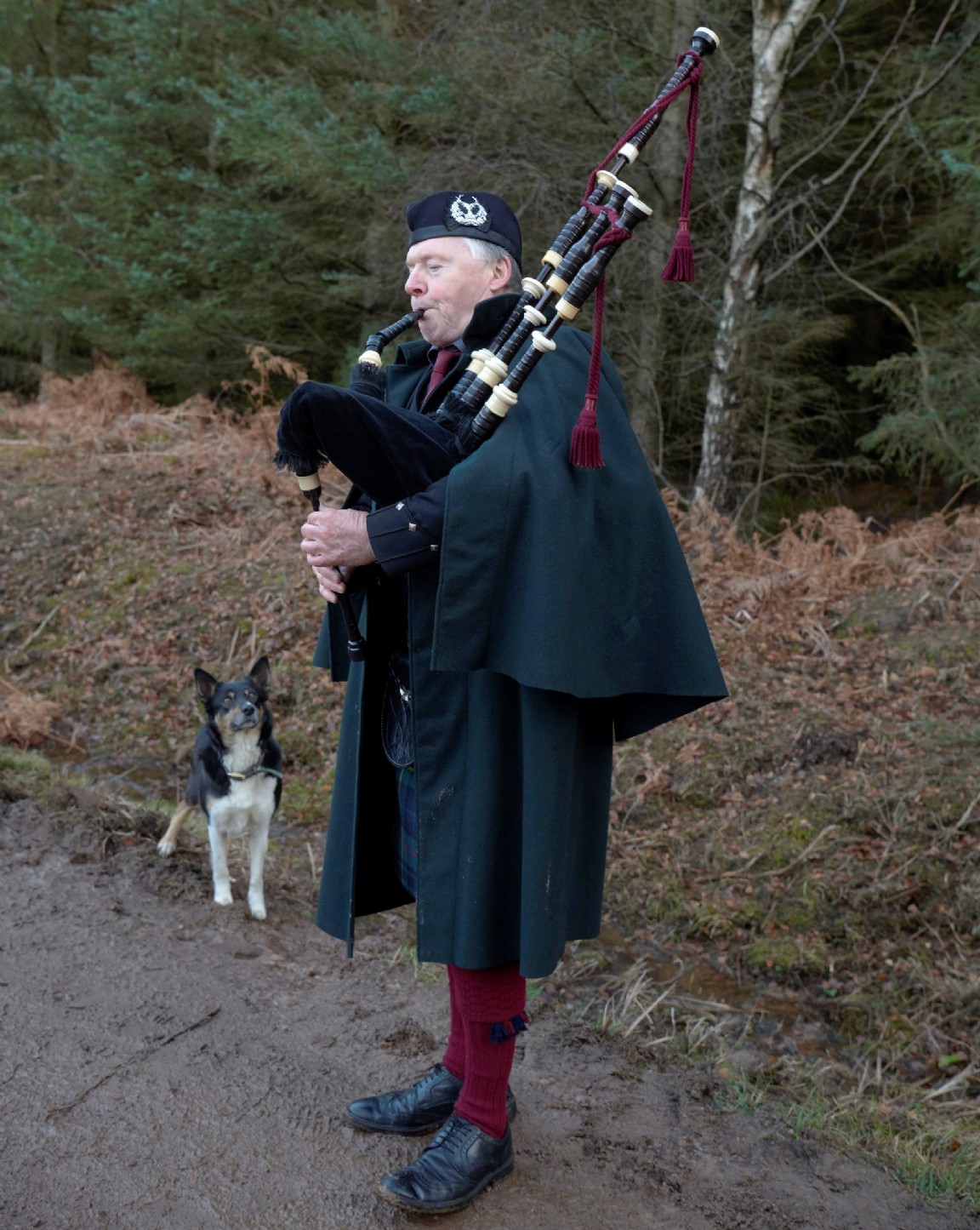 Centenary of the Forestry Commission � Tree planting pipe music