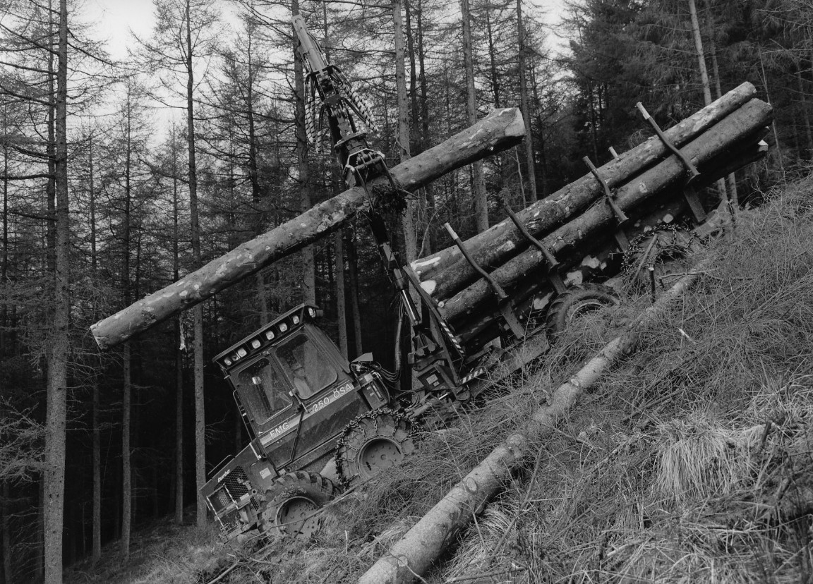 OSA 250 Forwarder on steep slope