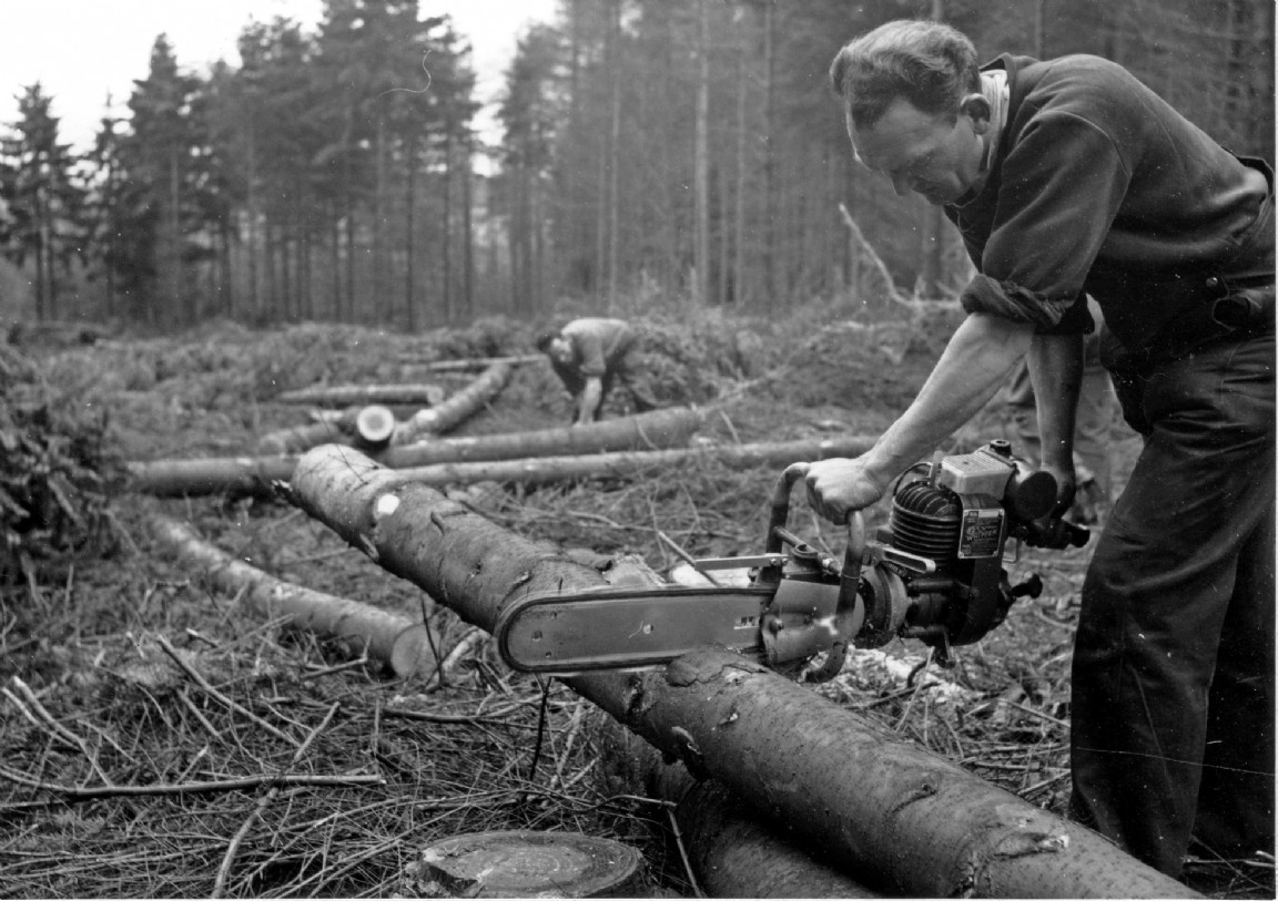 Danarm Whipper saw test