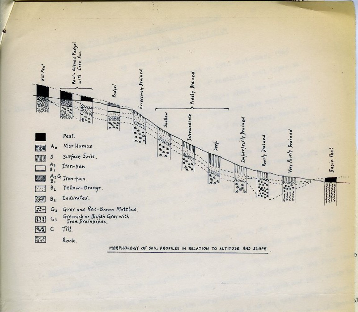 Discussions and strategies for cultivation by ploughing 1966-67
