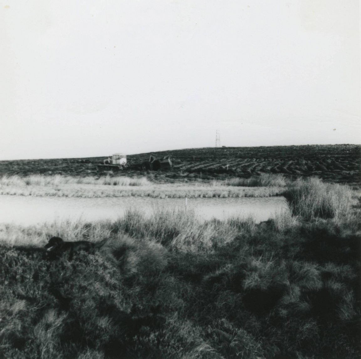 Cross draining at Aultmore Forest, Moray