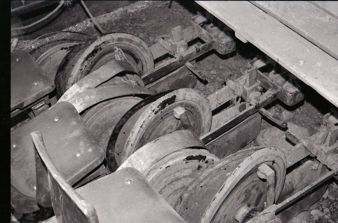 Tree plant lining out machine at Tulliallan Nursery