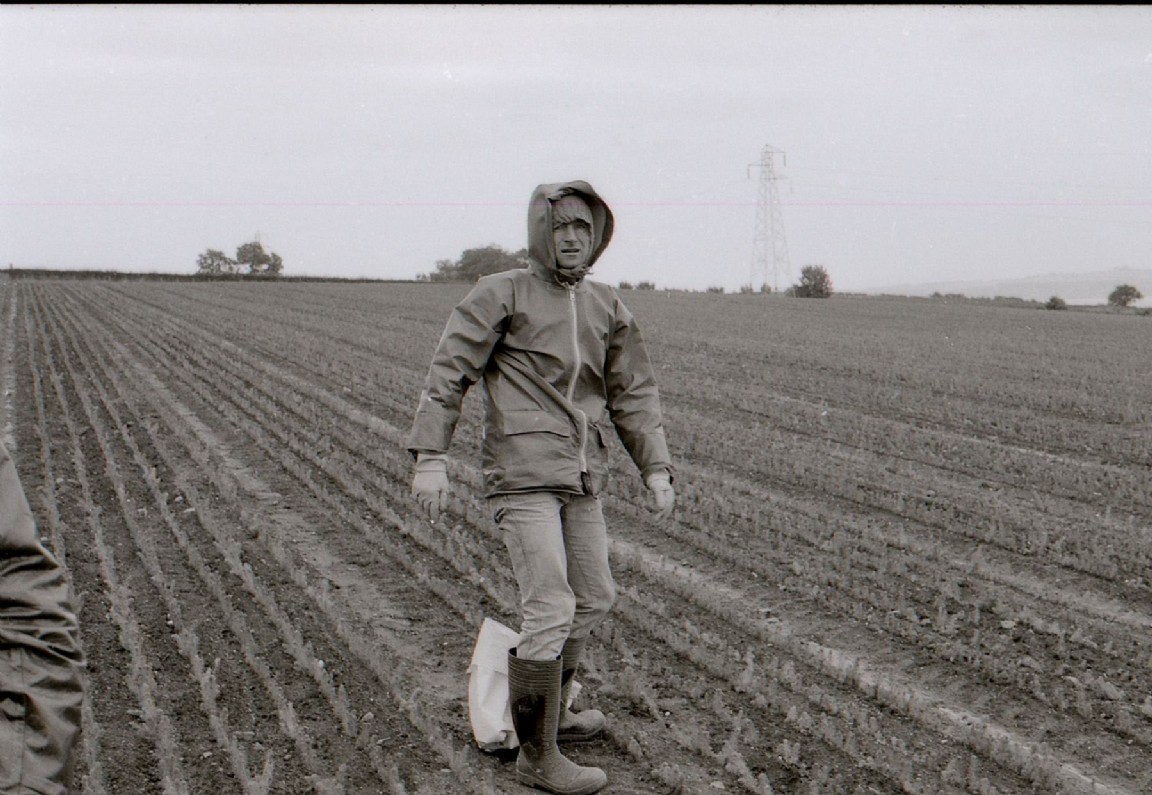 Checking the transplant lines at Tulliallan Nursery