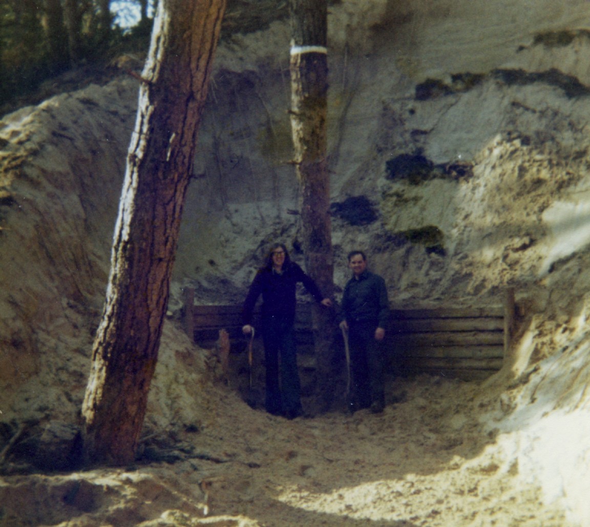 Buried pine at Culbin Forest excavated