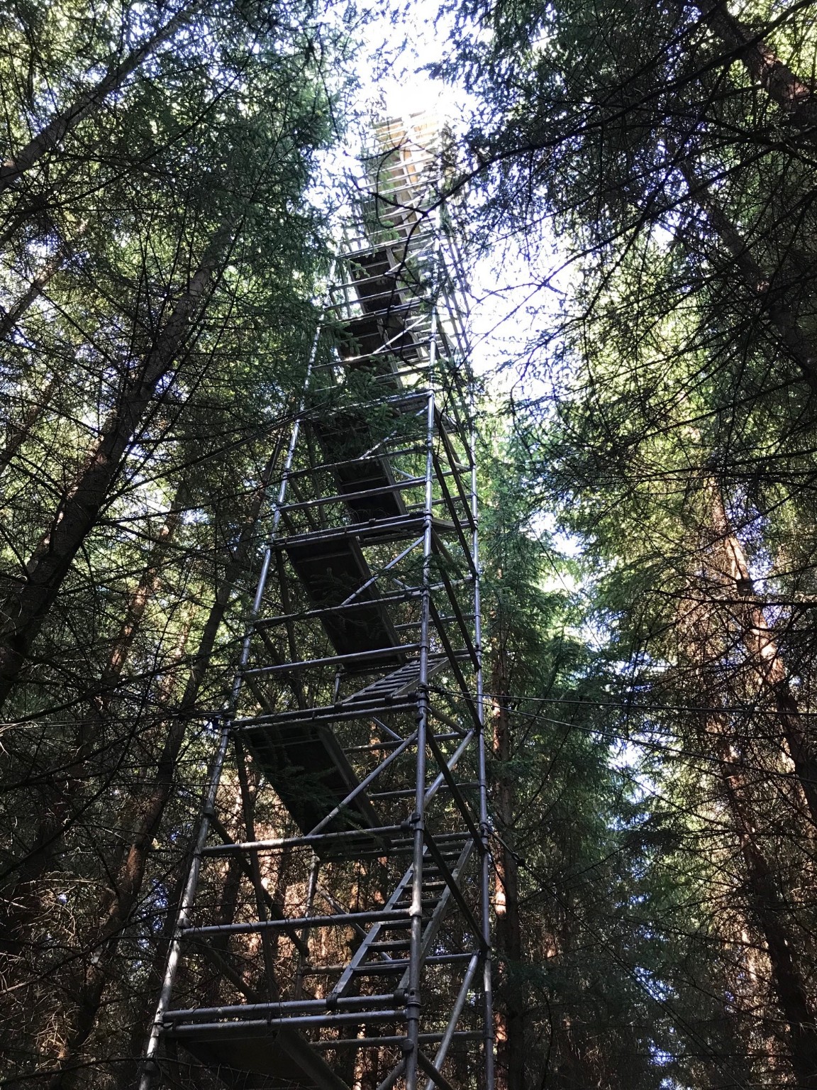 Griffin Forest - Climate Change Tower 