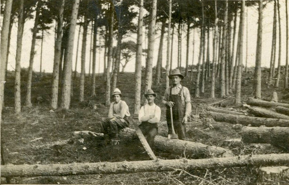 New England Sawmillers in Scotland - Sawmill Unit No 3 � One of the felling teams