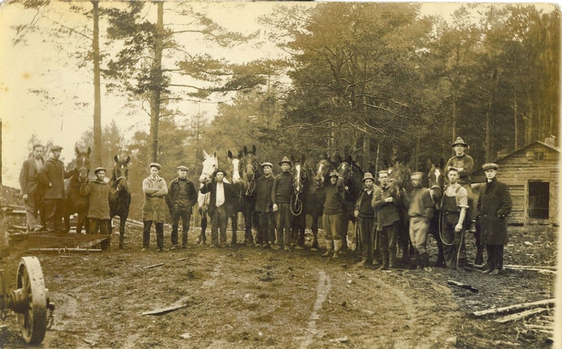 New England sawmillers in Scotland � Teamsters and their horses