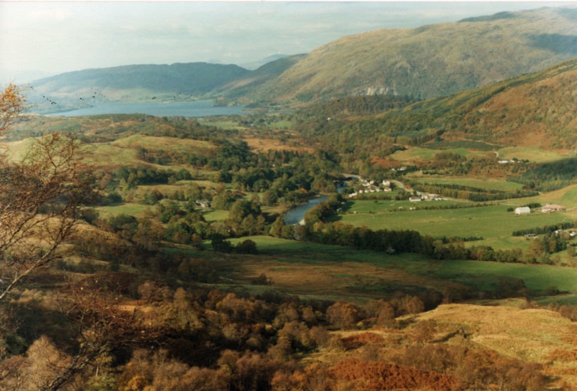 Fanans Forest near Taynuilt Argyll 1990