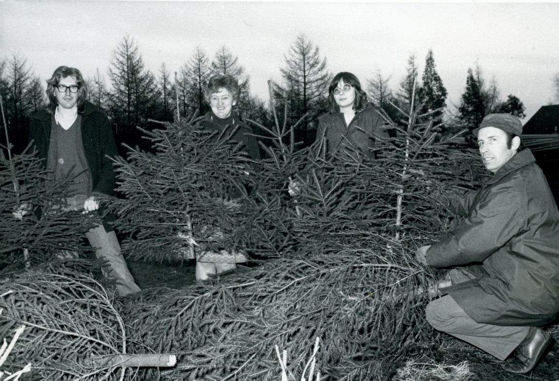 Christmas tree sales at Newton Forest Office