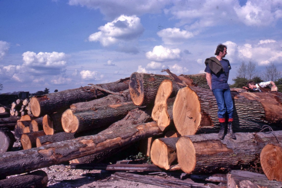 Newton Rigg forestry field trip - unknown location