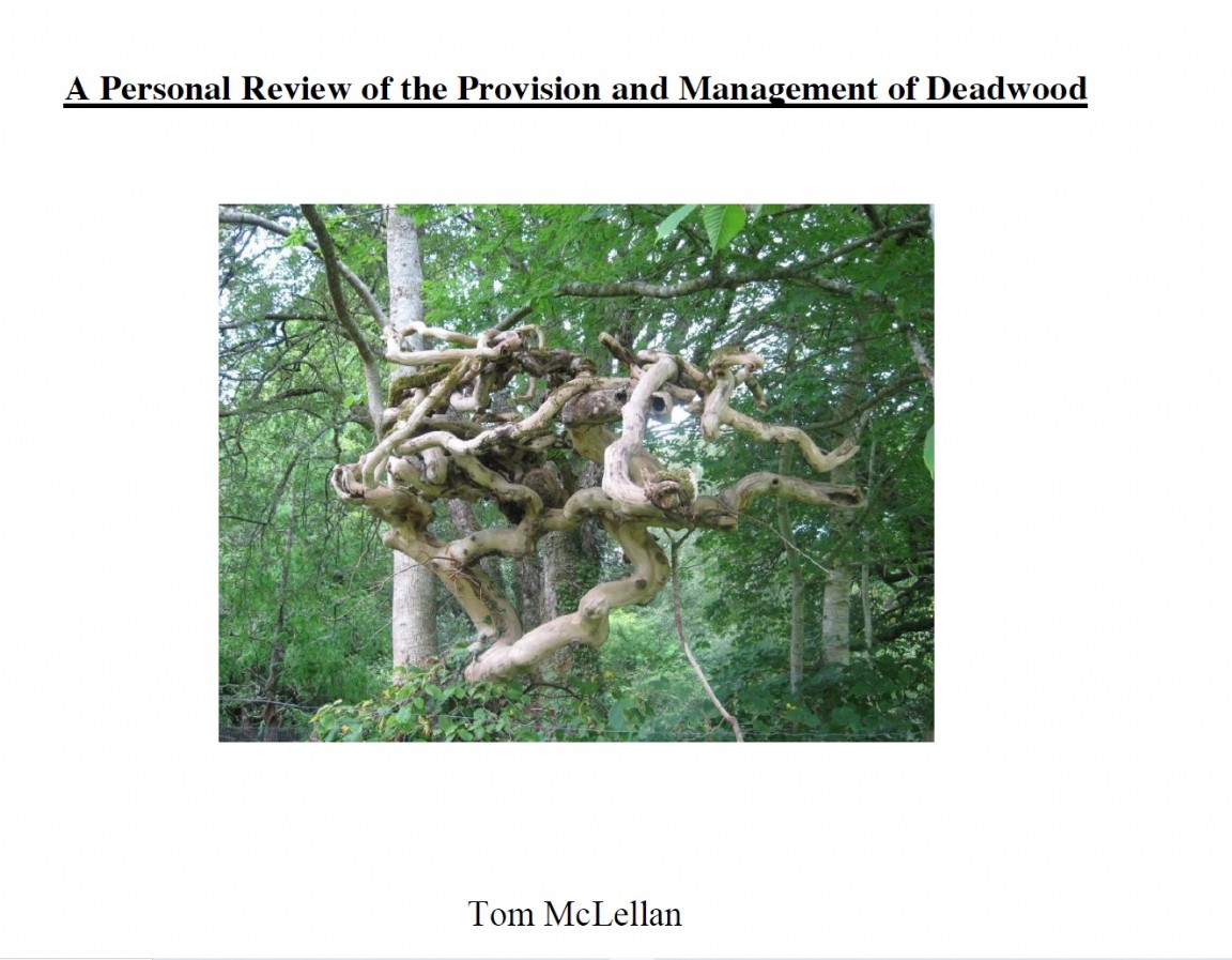 A Personal Review of the Provision and Management of Deadwood