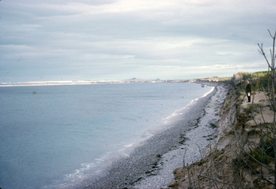 Shoreline along front of Roseisle Forest leading to Burghead