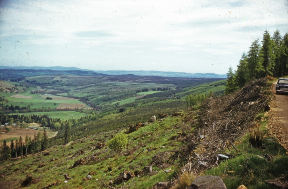 Clearfell site in an unknown location