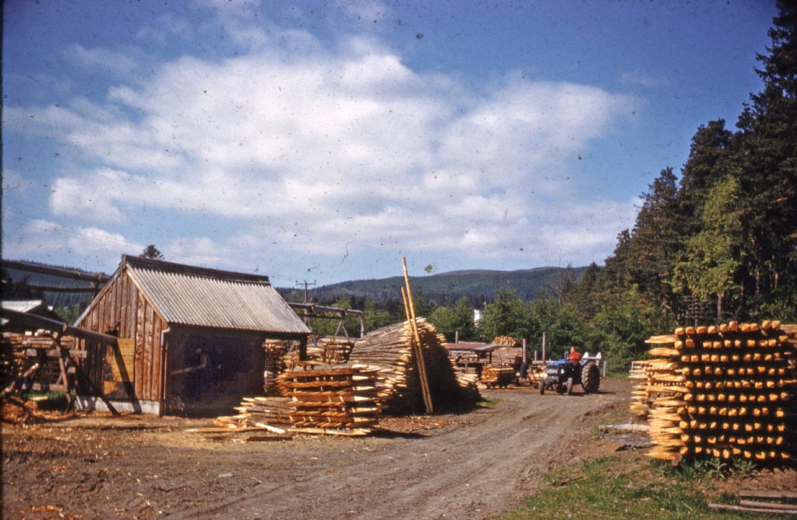 Estate sawmill � unknown location and year