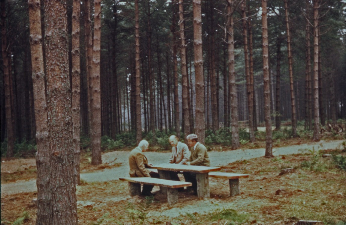 Three gentlemen sitting in new forest car park