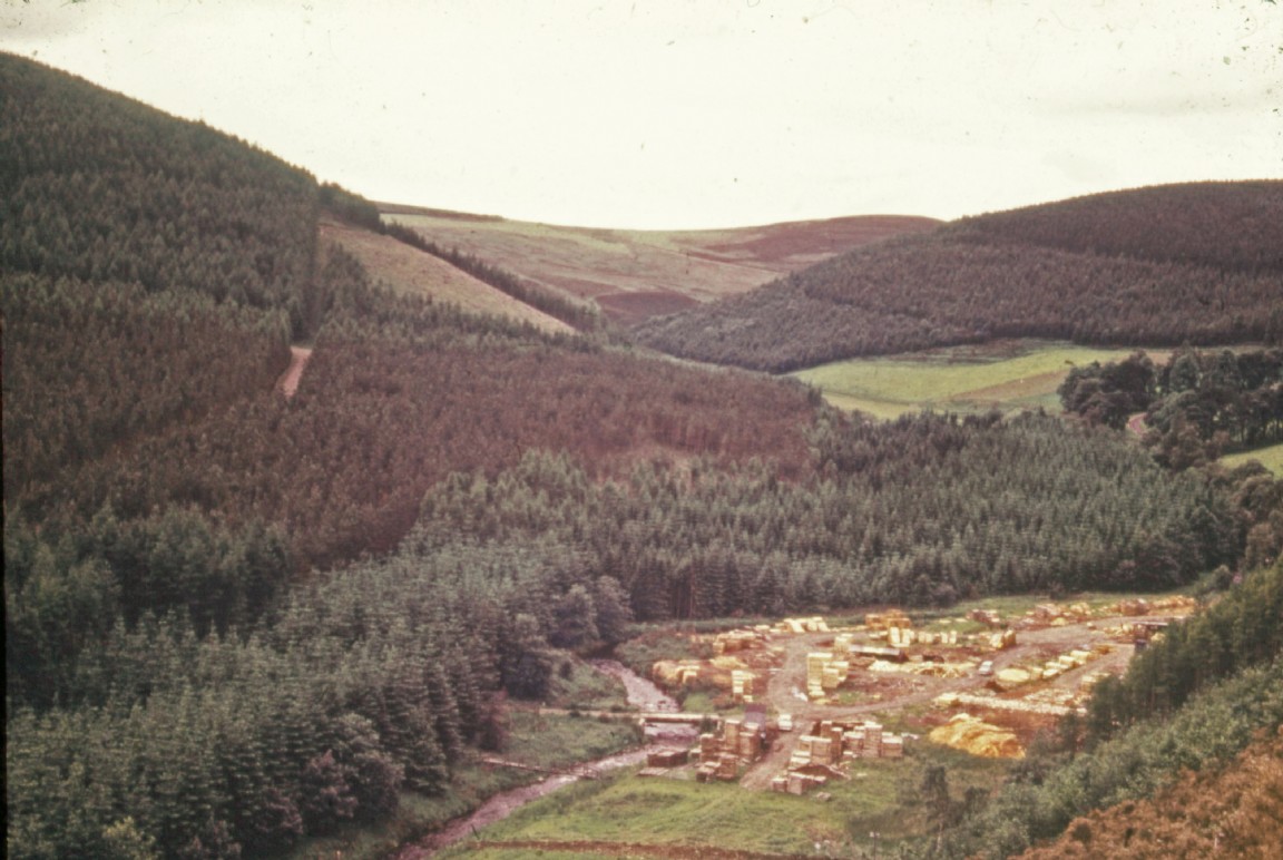 Mobile sawmill set up at Kirkney, Clashindarroch Forest near Huntly