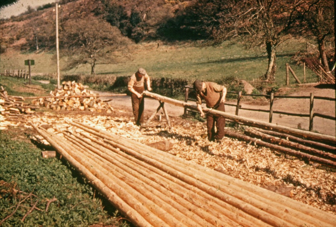 Peeling special poles